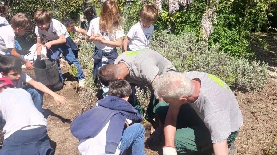 1º Ano | Plantação de Árvores