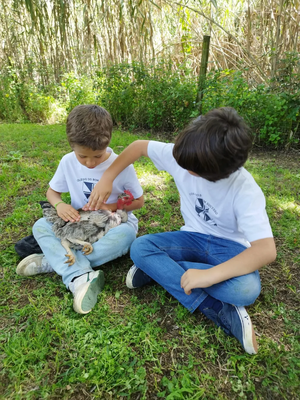 2º Ano | Quinta da Granja