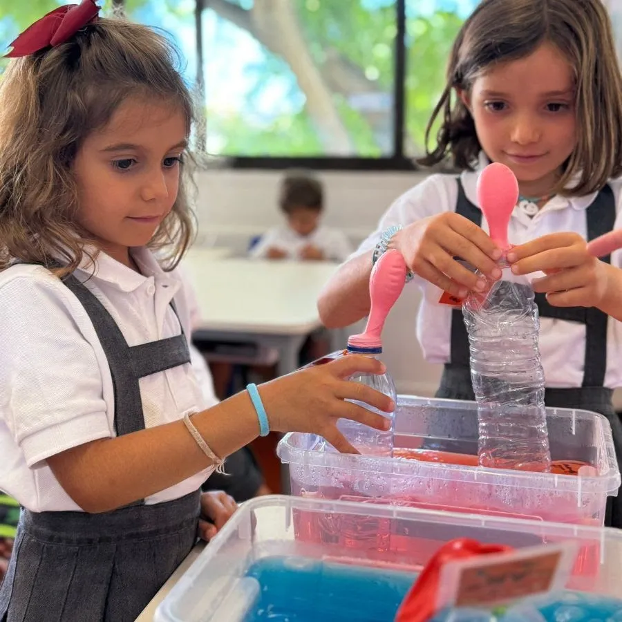 1º Ciclo | WhyLab