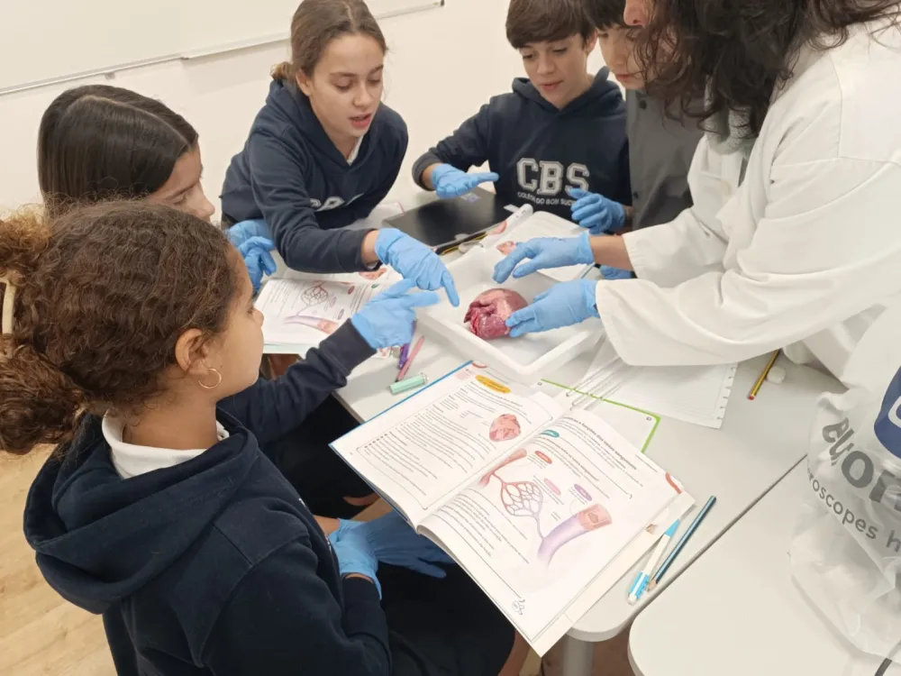 6&ordm; Ano | Constitui&ccedil;&atilde;o do cora&ccedil;&atilde;o 