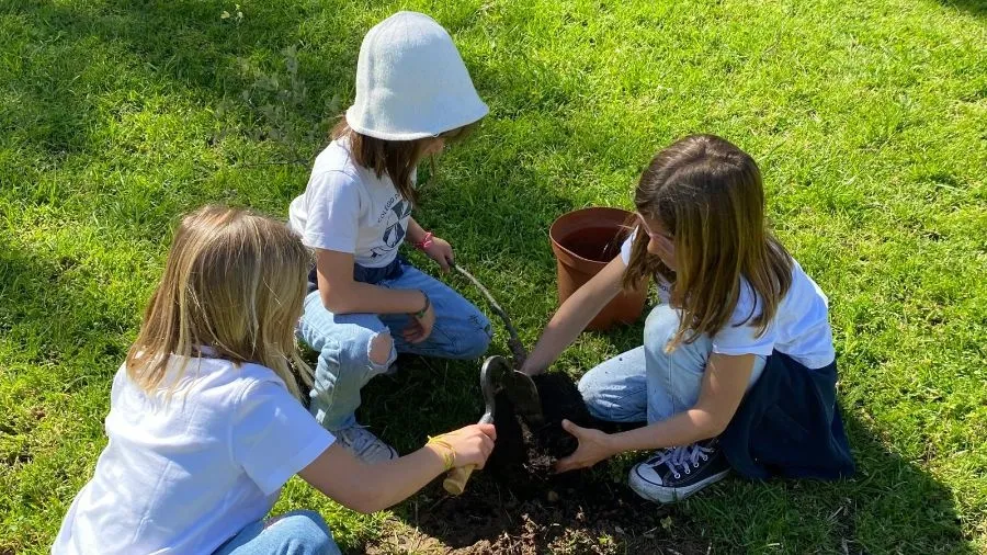 1º Ano | Plantação de Árvores