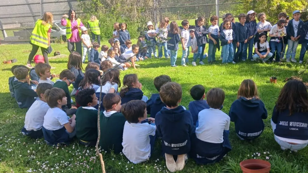 1º Ano | Plantação de Árvores