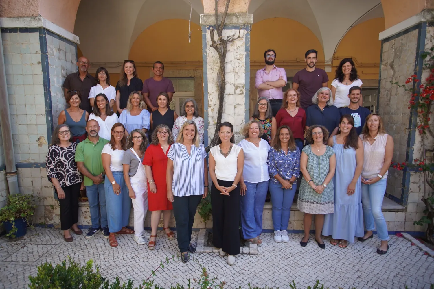 2º e 3º Ciclos