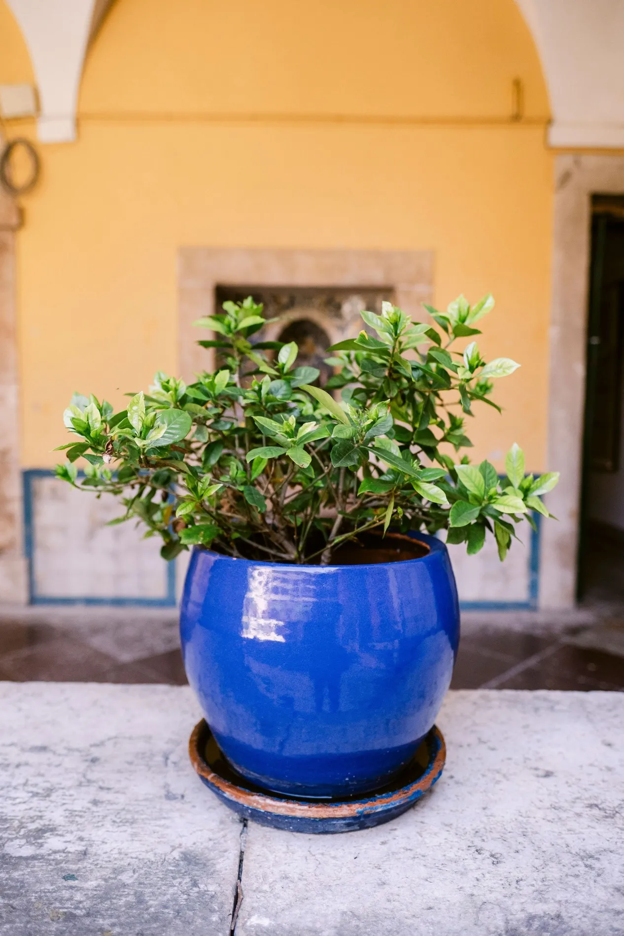 Departamento de Ingl&ecirc;s