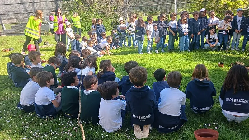 1º Ano | Plantação de Árvores